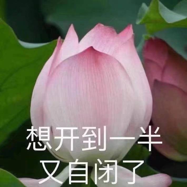 商品更新测试（耳钉）